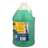  Rain-X Original 2-in-1 Windshield Washer Fluid, Removes Grime,  Improves Driving Visibility (32° F) : Automotive