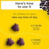 Zarbee's Kid's Daily Immune Support Gummies with Real Elderberry - Natural Berry Flavor - 42ct - 4 of 4