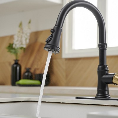 Matte Black and Gold Single-Handle Pull-Down Kitchen Faucet