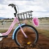 KTMBDW Kids Bike Balance to Pedal Dual Handbrake Toddlers Boys Girls Bicycle 20 Inch for Age 3-10 Years - 3 of 4