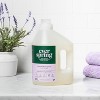 Lavender & Bergamot Liquid Laundry Detergent - 100 Fl Oz - Everspring ...