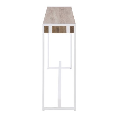Mocha Gray & Fresh White Industrial Console Table with Storage