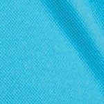 brilliant turquoise