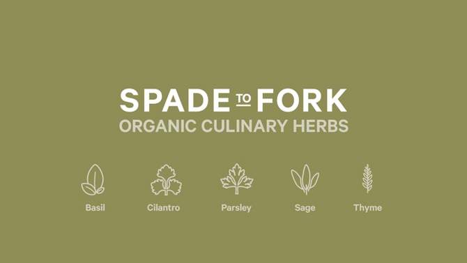 Spade to Fork Organic Culinary Herbs Kit, 2 of 9, play video