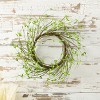 Mini Leaf Twig Wreath 22"D - 3 of 3