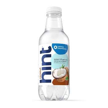 hint Coconut Flavored Water - 16 fl oz Bottle