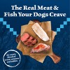 Blue Buffalo Wilderness Grain Free Wet Dog Food Snake River Grill with Trout Fish, Venison & Rabbit - 12.5oz/12ct Pack - 3 of 4