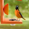 Uncle Dunkels Oriole Bird Feeder; 2-Way Feeder for Jelly and Oranges, Handmade in Kentucky - 4 of 4