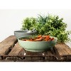Frieling Seltmann Weiden Beat Bowl 9.8 Inch, Set of 4 - 2 of 3