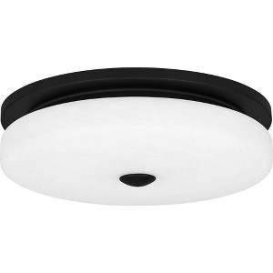 Quoizel Lighting Tavani 1 - Light Flush Mount in  Matte Black - 1 of 4