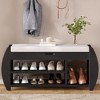 PAGED Modern Shoe Storage Bench with Lift-Top Hidden Compartment, Open Shelving Ottoman with Storage, Retro Shoe Bench with Cushion and Curved Side - 2 of 4