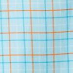 light blue check