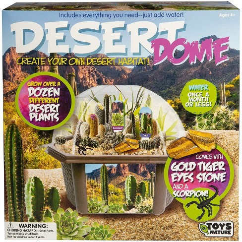 Toys By Nature Biosphere Terrariums - Desert Dome, Cactus : Target