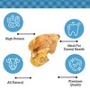 Country Living Whole Pig Ears Dog Treats - 100% Natural, Premium Pork Chews for Dental Care - 15-Pack - 3 of 4