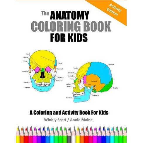 97 Anatomy Coloring Book Reviews Free
