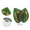 Unique Bargains Betta Fish Leaf Pad Hammock Plants for Fish Tank Green 3.15"x2.56" - image 3 of 4