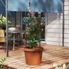 Tangkula 3-Pack Garden Tomato Trellis 60" Plant Support Cage w/ Adjustable Size for Plants - 3 of 4