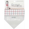 Pavilion Gift Company - I'm So Pawsome - 7" x 5" Canvas Slip on Pet Bandana - Pet Toy - 4 of 4