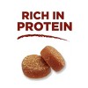 Purina ONE Chicken Flavor Training Dog Treats - 7oz - 4 of 4