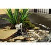 Beckett Corporation CGFK60 Submersible Pump and Container Kit Ideal for Mini Fountains, Water Gardens, and Bird Baths - 3 of 4