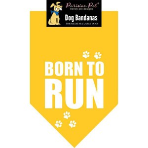 Parisian Pet 'Born to Run' Bandana - Fashionable, Soft, Comfortable Yellow Bandana for Dogs & Cats - 1 of 4