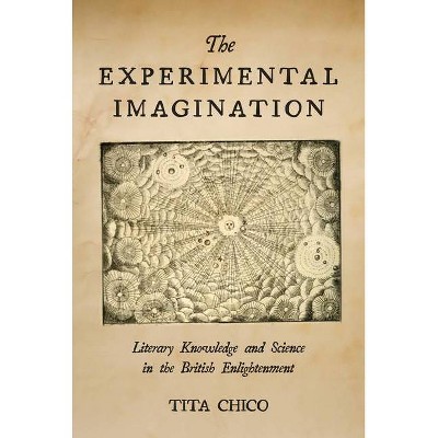 The Experimental Imagination - by  Tita Chico (Hardcover)