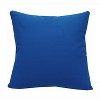 RightSide Designs Azure Fish School Indoor/Outdoor Throw Pillow - image 2 of 4