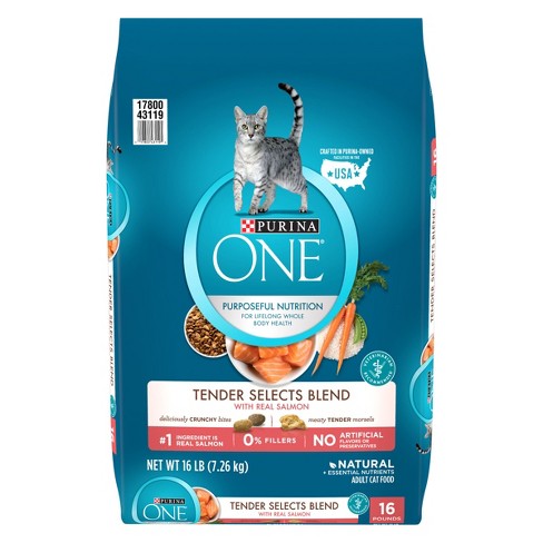 Purina® ONE Salmon & Tuna Flavor Dry Cat Food - 16lbs : Target