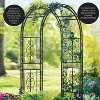Evergreen PATTERN ARBOR - 4 of 4