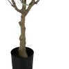 NicBex Artificial Tree Artificial Plant 3.8FT Tall Artificial Eucalyptus Tree with Black Pot, Room Decor for Home Office Foyer Porch - 2 of 4