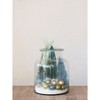 Storied Home Sisal Bottle Brush Tree with Wood Base, Blue Ombre - 2 of 4