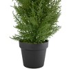 Northlight Real Touch™ Artificial Cedar Pine Petite Arborvitae Tree in Round Pot - 2' - Unlit - 4 of 4