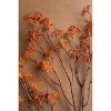 Artificial Rice Flower Stem – 40" Tall Rust Orange Faux Floral Accent, Set of 6 by Kalalou - 2 of 3