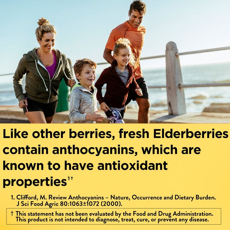 Nature Made Elderberry with Vitamin C and Zinc for Immune Support Gummies - Raspberry , 4 of 11