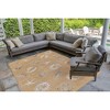 Liora Manne Carmel  Indoor/Outdoor Rug  Sand.. - 2 of 4