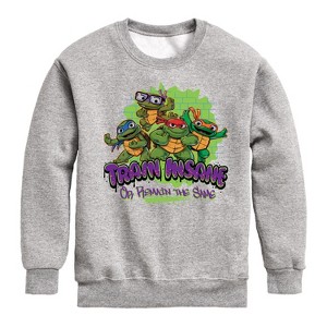 Boys' - Teenage Mutant Ninja Turtles Mutant Mayhem - Train Insane Graphic Long Sleeve Fleece Sweatshirt - 1 of 4