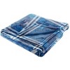 Jay Franco Gilmore Girls Chilton Academy Silk Touch 50x60 Throw Blanket - 4 of 4