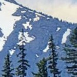 ridge black