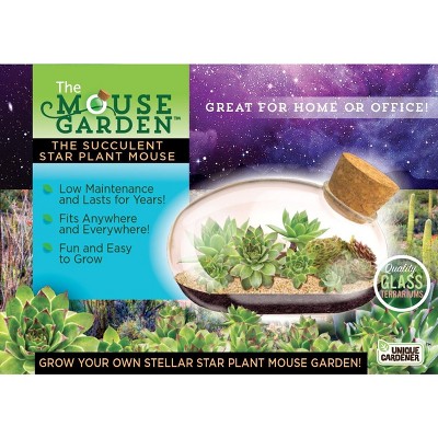 Unique Gardener The Succulent Star Mouse
