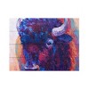 Trademark Fine Art-Marion Rose 'Thunderhorse' Canvas Art - 2 of 4