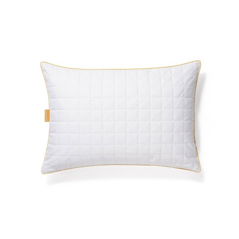 Target overfilled outlet pillow