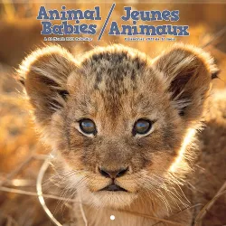 2023 Wall Calendar Animal Babies - Trends International : Target