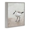 Stupell Industries Lone Sandpiper Bird Portrait, 24" x 24" - 3 of 4