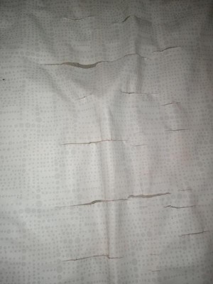 Guest review image 2 of 2, zoom in