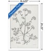 Trends International Jean Plout - Botanical Studies on Paper Parsley Framed Wall Poster Prints - 3 of 4