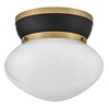 Lark Lucy 1 - Light Flush Mount in  Black - 3 of 3