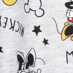 mickey mouse / minnie mouse