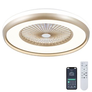 HUMHOLD 24 Inch Smart Ceiling Fan with Lights and Remote/APP Control - 1 of 4
