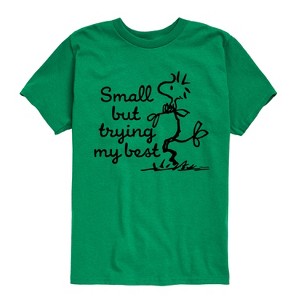Boys' - Peanuts - Small But Trying My Best Short Sleeve Graphic T-Shirt - 1 of 4