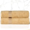 Premium Cotton Absorbent Luxury Weight Set by Blue Nile Mills - 2 of 4